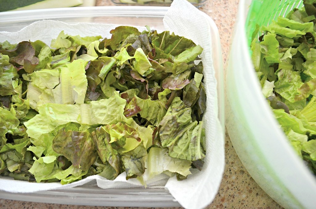 lettuce in bowl on the counter