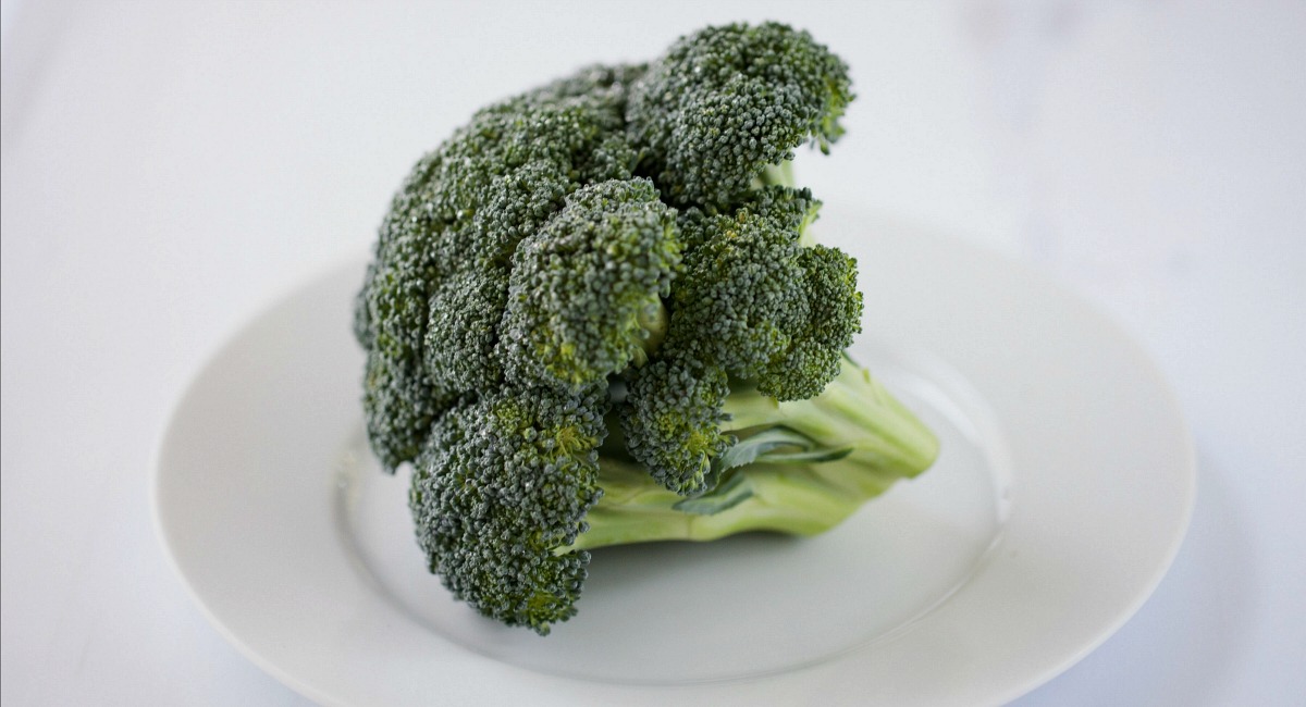 broccoli on a plate