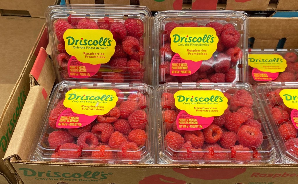 raspberries in crates