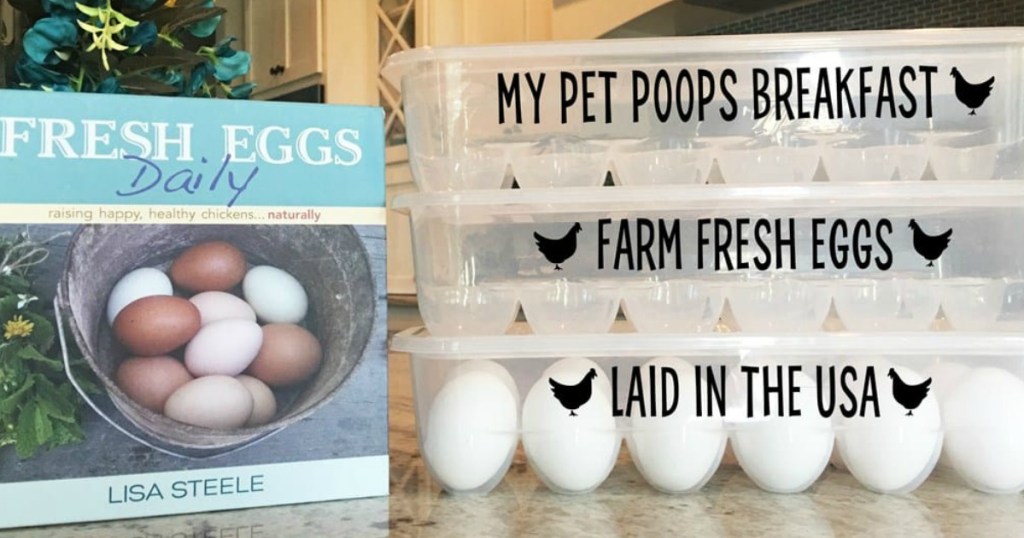 funny dozen egg containers on counter with egg cookbook
