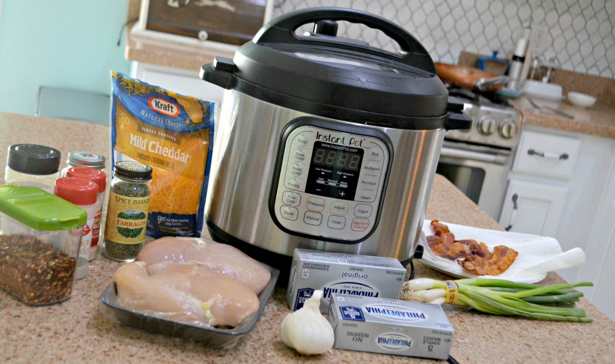 keto instant pot crack chicken - the ingredients