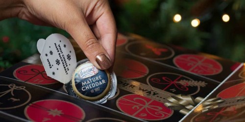 Get Ready! This Cheese Advent Calendar is Coming to Target