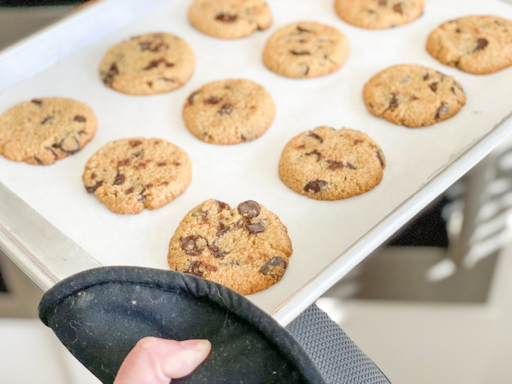 baked keto pumpkin chocolate chip cookies