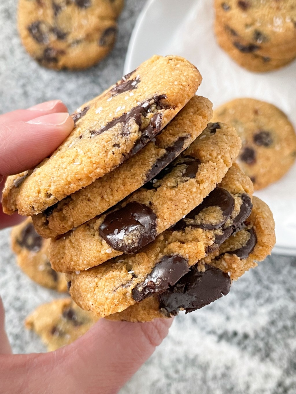 keto pumpkin chocolate chip cookies holding a stack