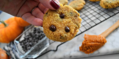 Keto Pumpkin Chocolate Chip Cookies are Perfect for the Fall Season