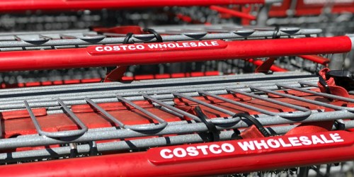 All the Best Keto Costco Black Friday 2018 Deals