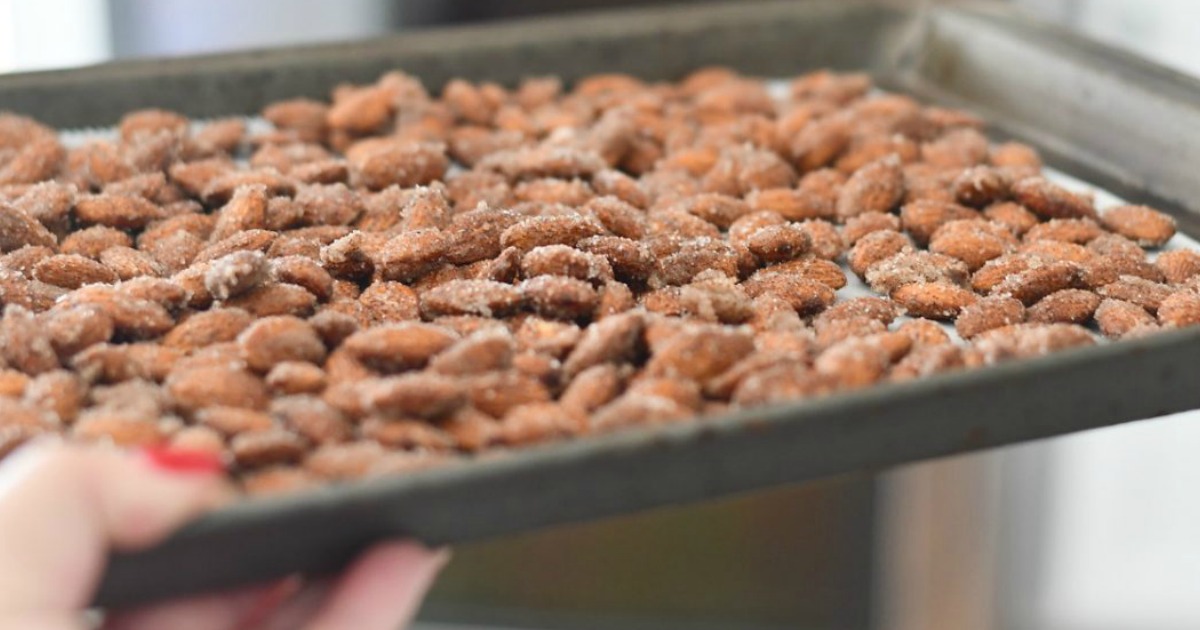 Sugar-Free Roasted Spiced Almonds | Exclusive Hip2Keto Recipe