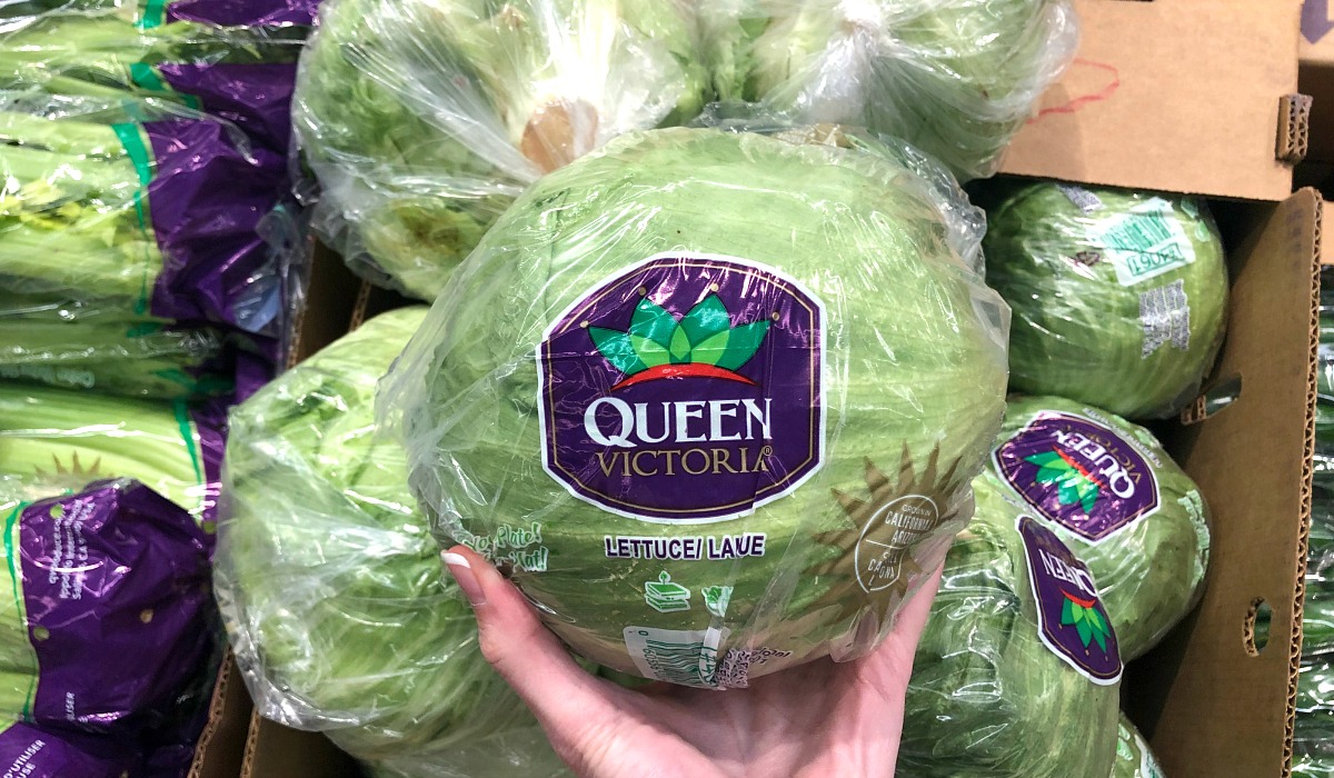 cheapest keto staples — iceberg lettuce at aldi