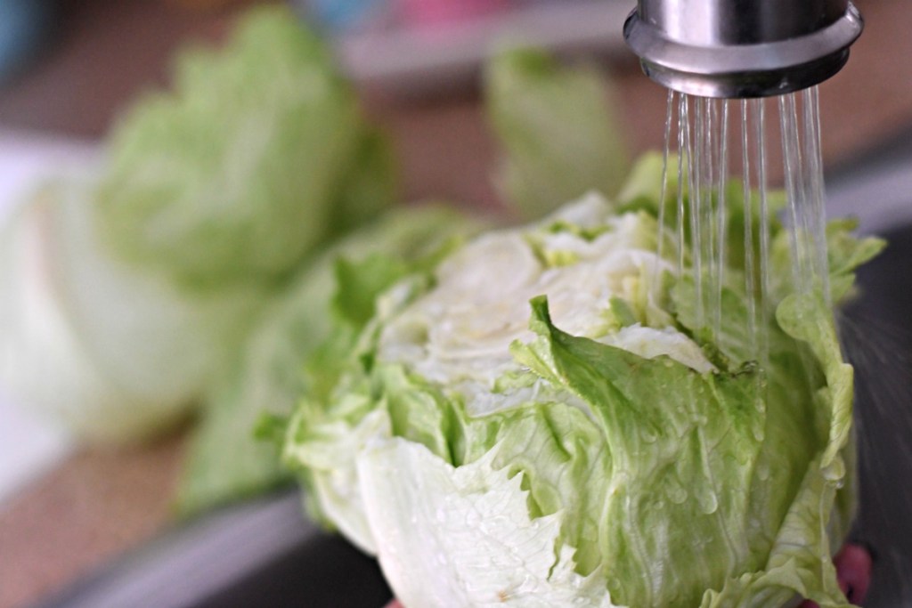 washing head of iceberg lettuce