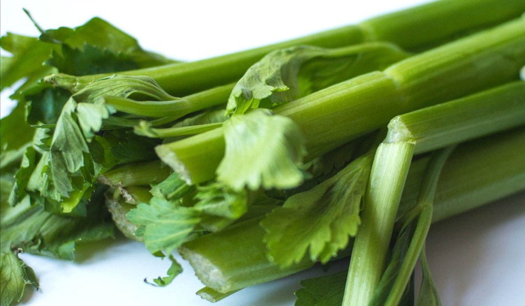 keep vegetables fresh — bunch of celery