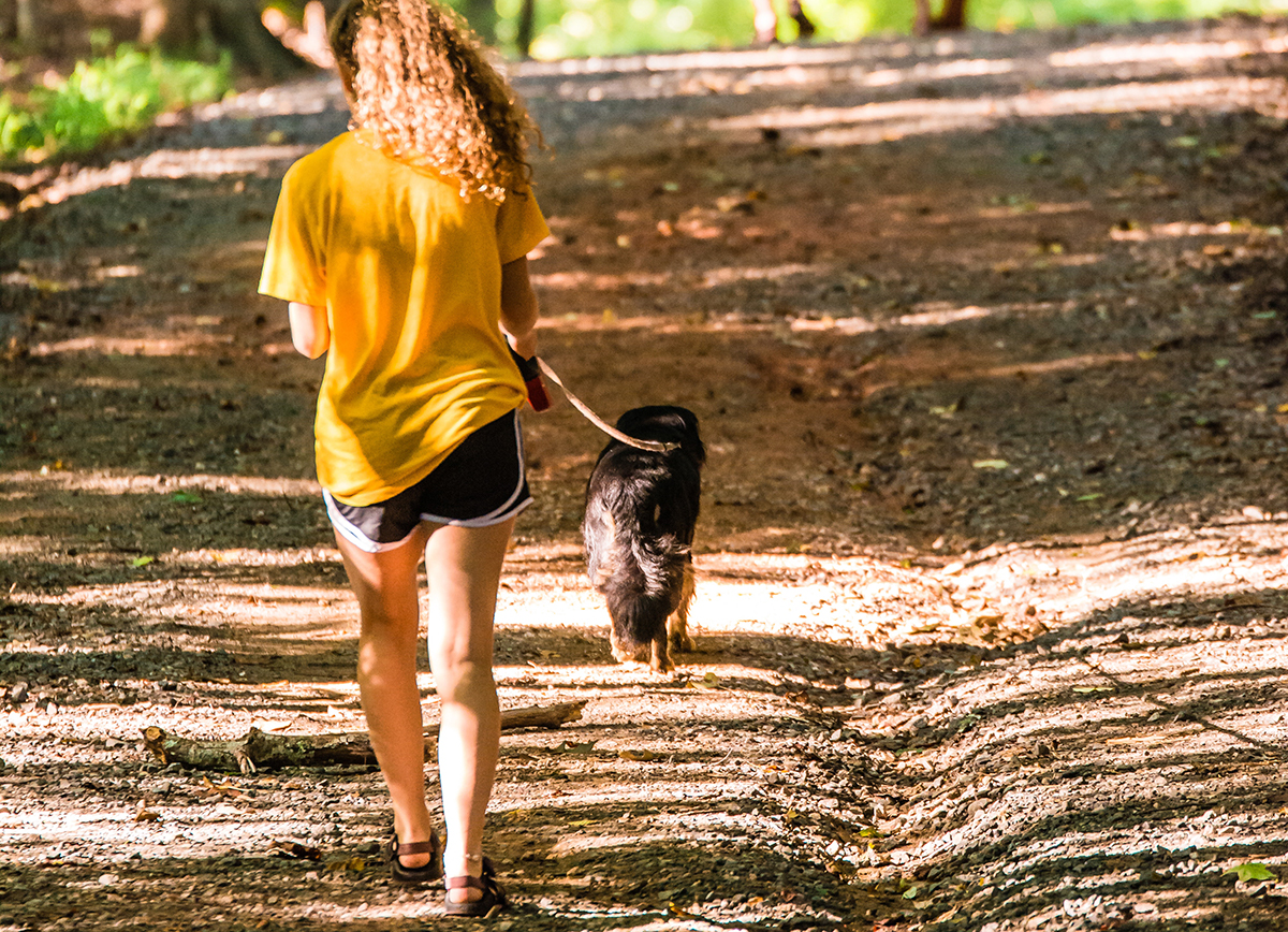 girl walking dog on hiking trail