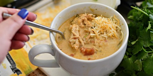 Make This Keto Slow Cooker Chicken Salsa Soup Tonight!
