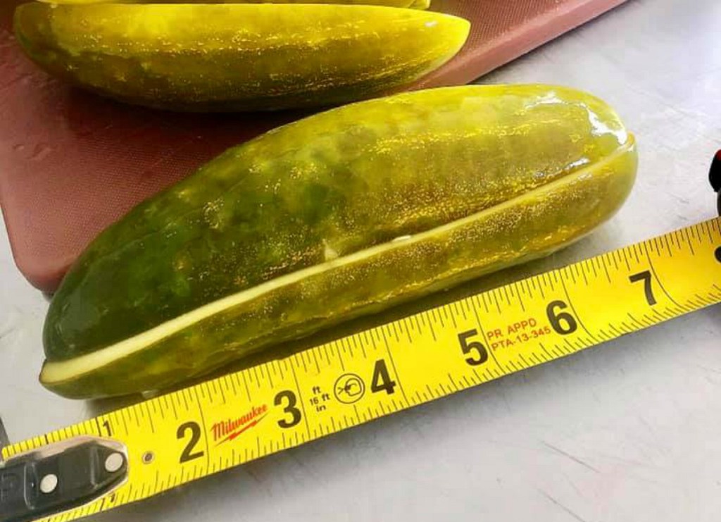 size of Elsie's sandwich pickles