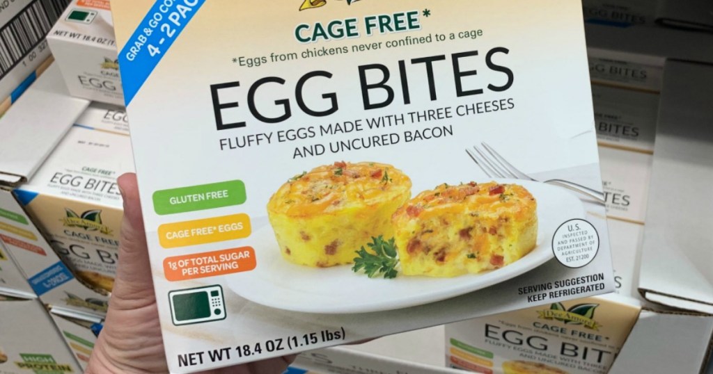 holding Egg Bites at Costco 