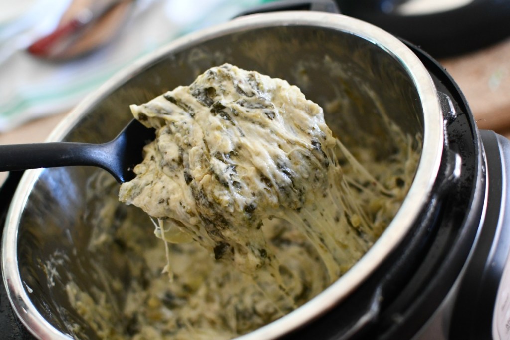 artichoke dip melted in the instant pot