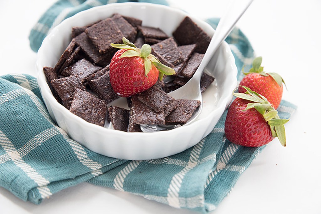 chocolate keto cereal from all day i dream about food