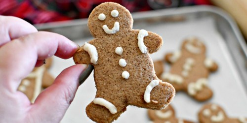 Keto Gingerbread Cookies Have Cinnamon, Spice, & Everything Nice… Just No Sugar!