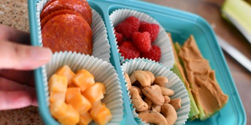 A Week of Easy Keto Lunch Ideas to Pack for School This Year