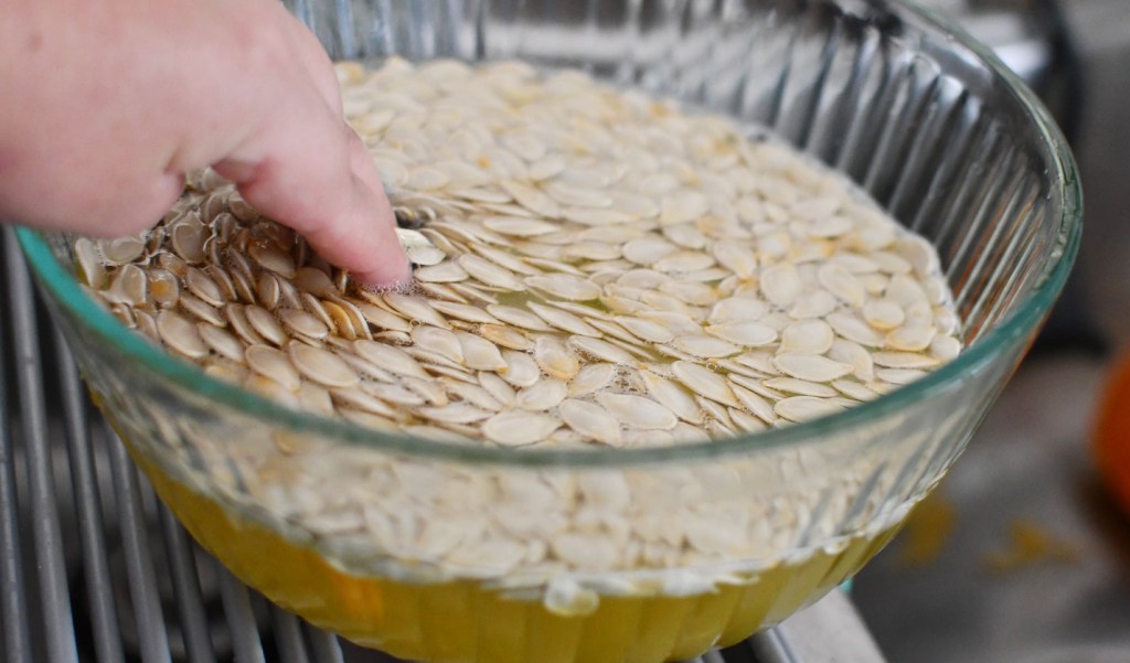 bowl soaking seeds