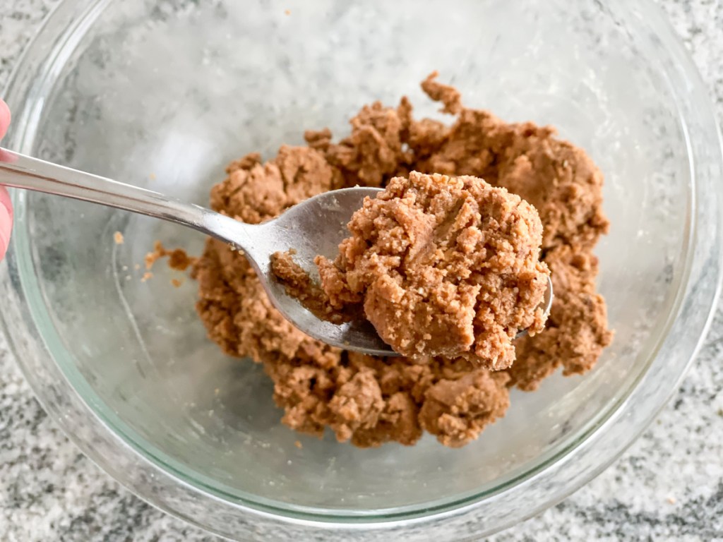 cookie dough protein bar dough