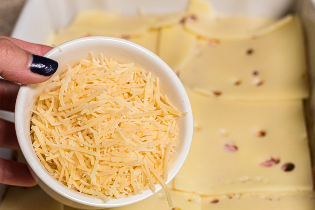 shredded parmesan cheese