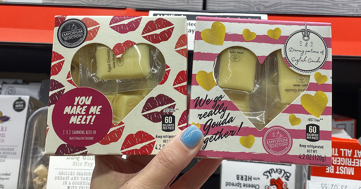 ALDI HeartShaped Valentine's Day Cheese Box Only 4.99 Hip2Keto