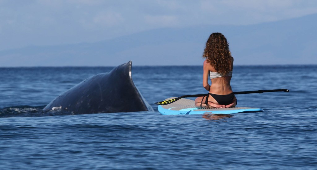 on paddleboard in hawaii