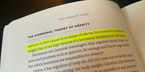 Insulin & Weight Gain Go Hand in Hand | Review of The Obesity Code Book (Part 3 & 4)