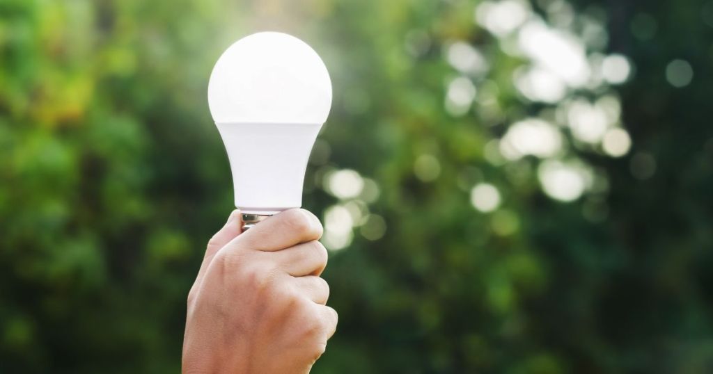 Hand holding an LED lightbulb