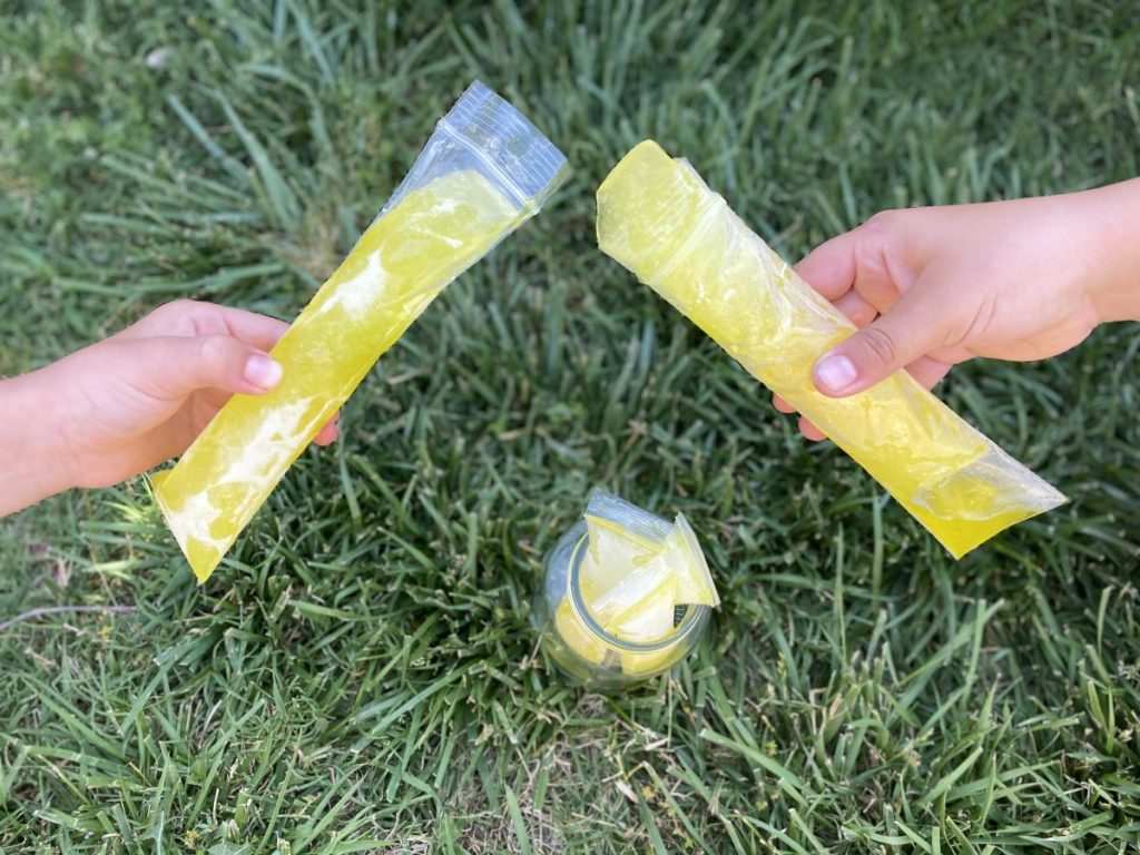 boys holding pickle popsicles