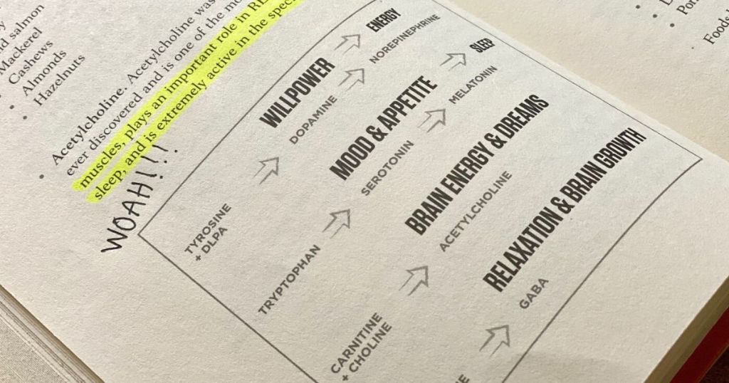 A page from part 2 of Head Strong showing how nutrients affect our brain and body