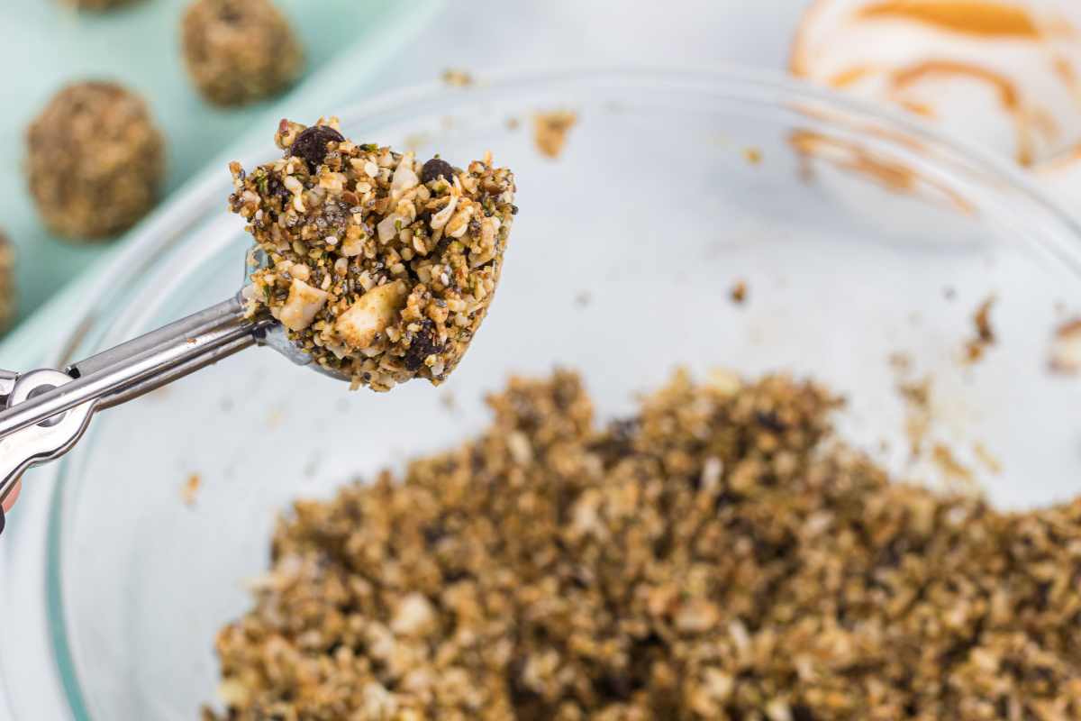 Easy NoBake Keto Protein Balls Exclusive Hip2Keto Recipe