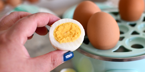 Is This Popular Egg Cooker Worth the Hype?!