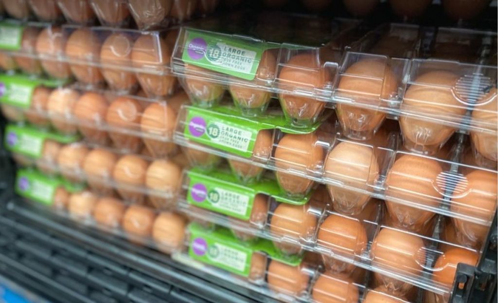 Cartons of brown eggs at the store
