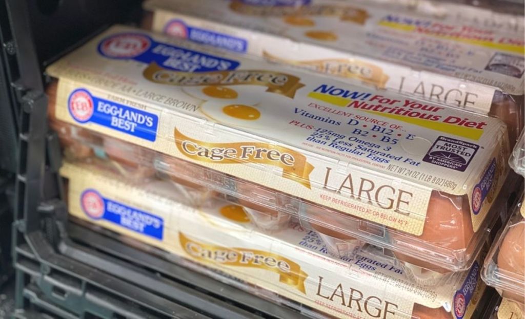 Cage-free eggs in cartons at the store