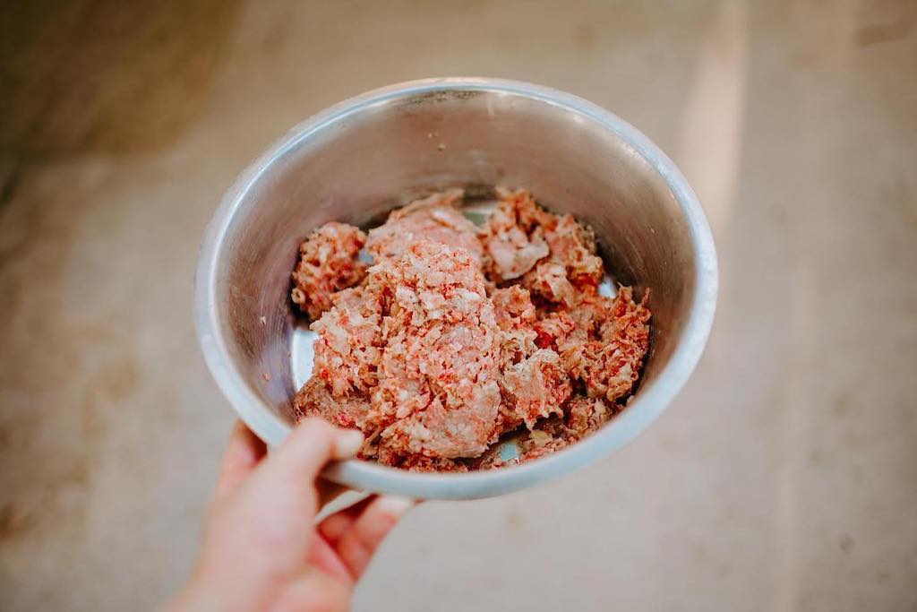 holding dog bowl filled with raw meat 