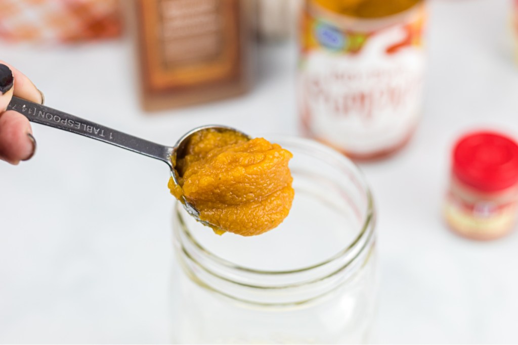 Pumpkin puree in measuring spoon