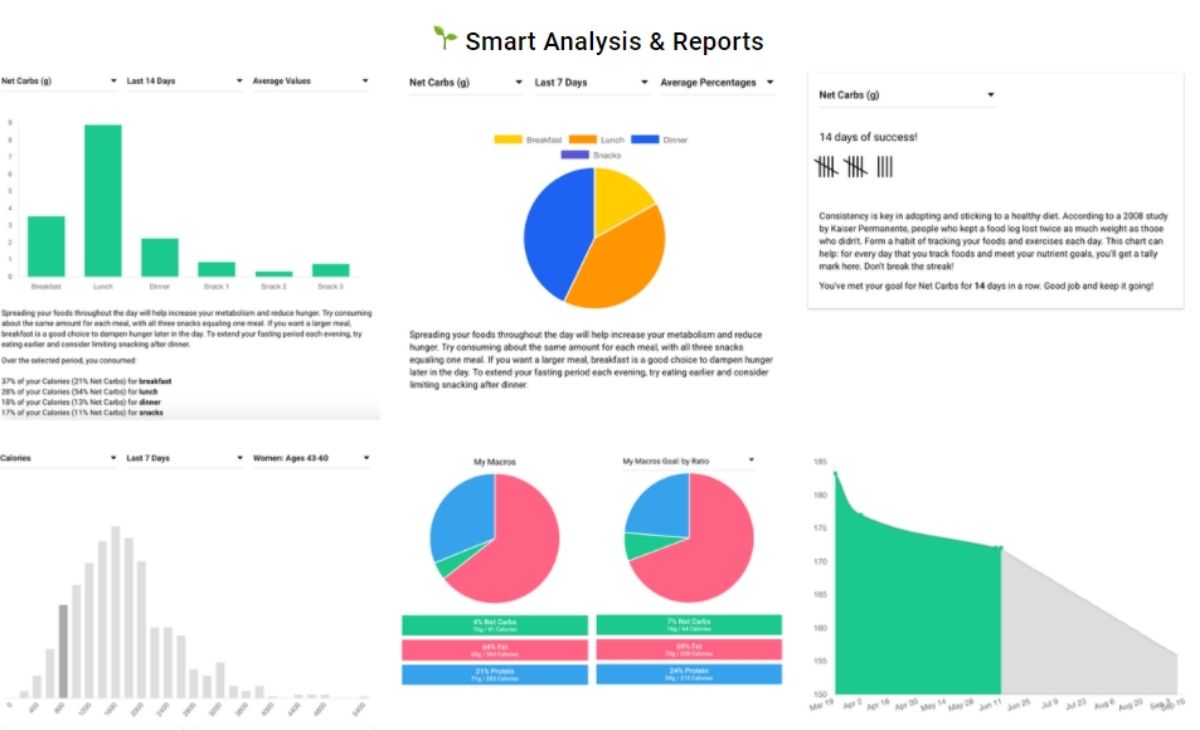 Statistics from the Carb Manager analysis tool