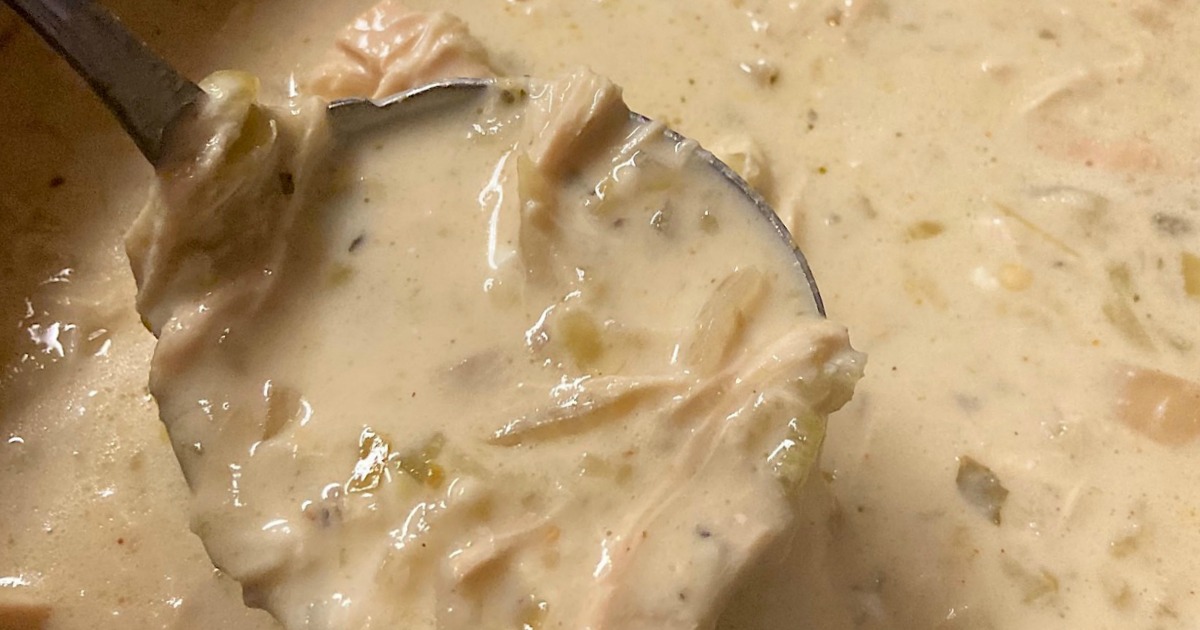 Keto Crockpot Chicken Enchilada Soup-image