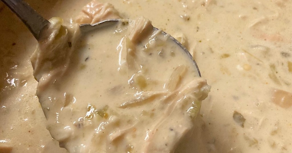 serving Keto Green Enchilada Chicken Soup 