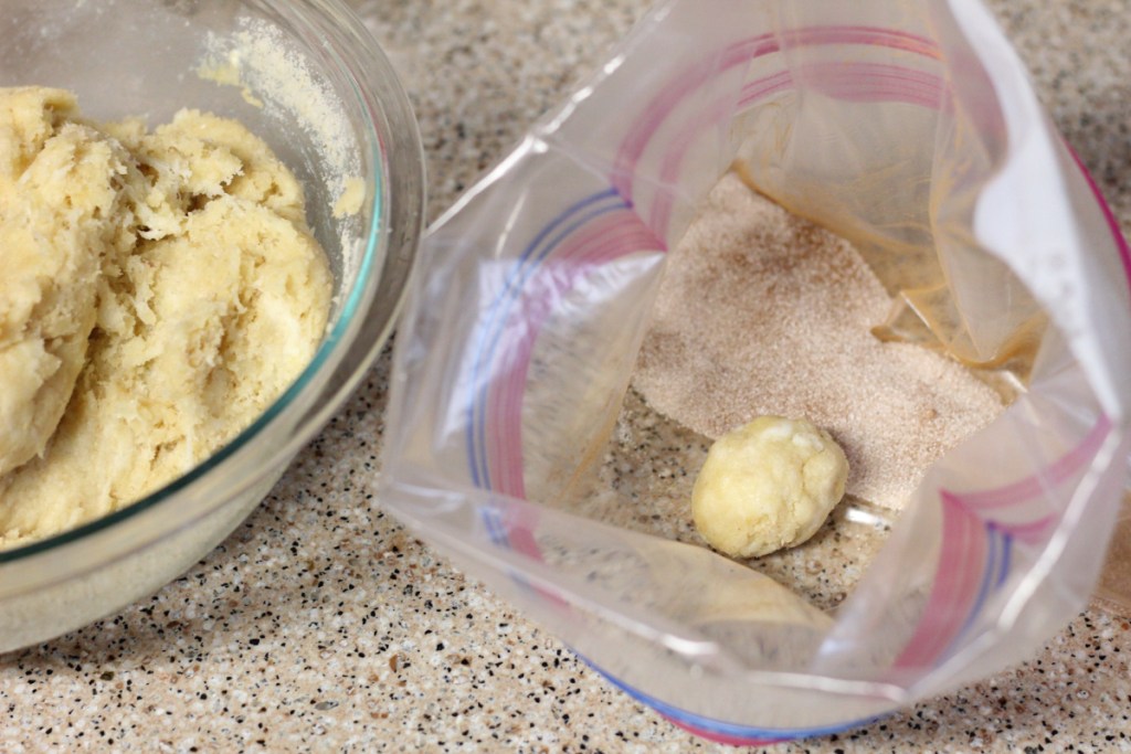 dough balls in a ziplock bag