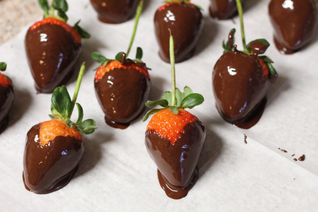 freshly dipped chocolate covered strawberries