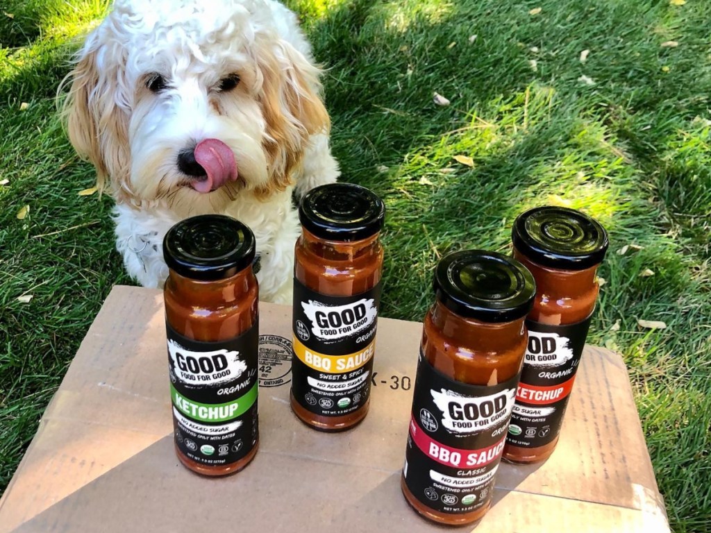 dog looking at 4 bottles of keto sauces