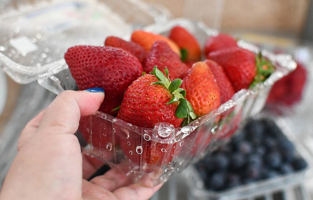 hand holding plastic carton of strawberries