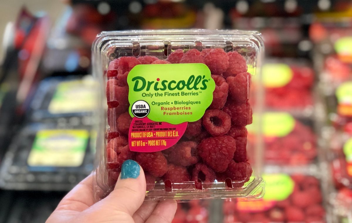 driscoll berries in grocery store