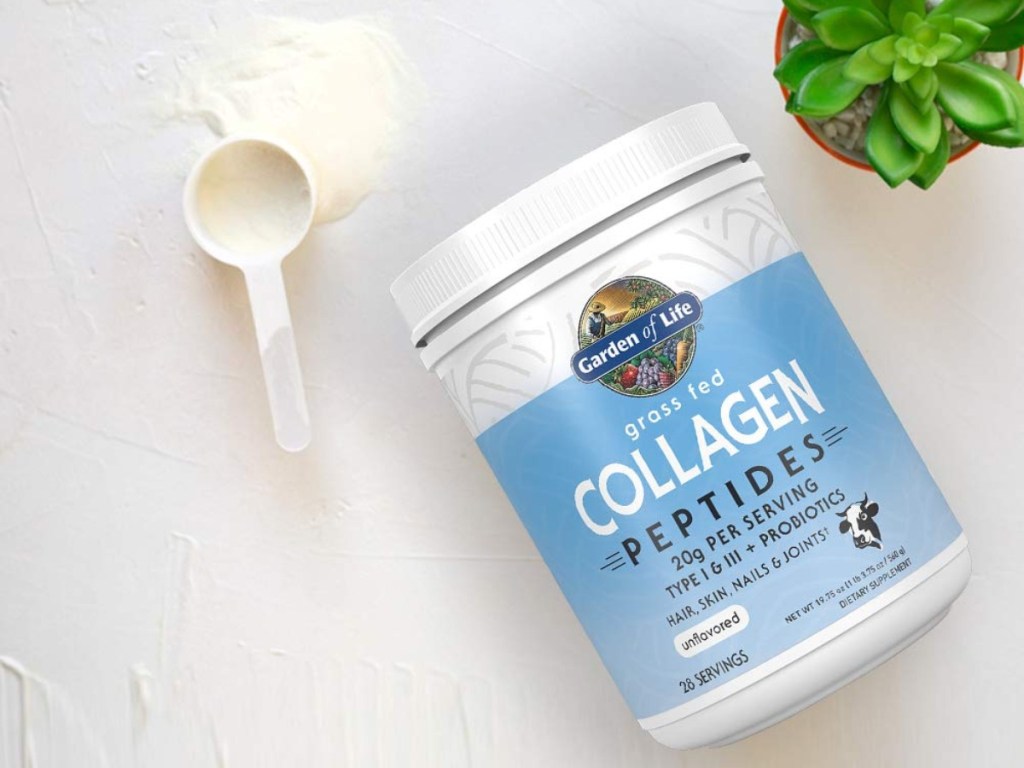 scoop of collagen peptides next to canister
