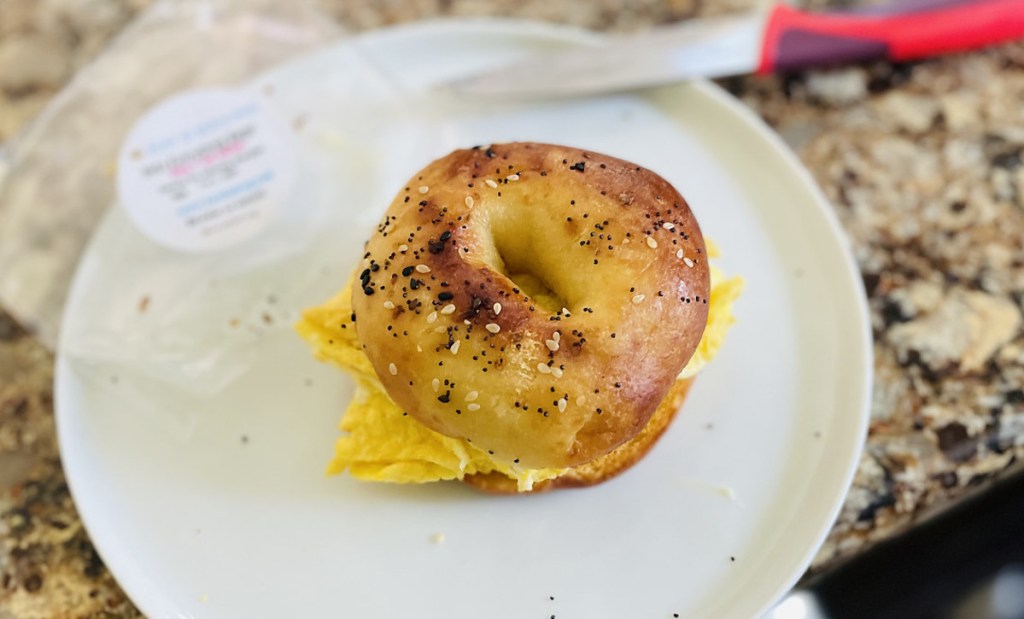 everything bagel with egg sitting on white plate