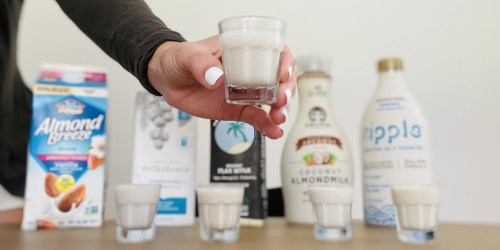 I Tested The Best Dairy-Free Keto Milks on the Market & This One Is My Favorite!