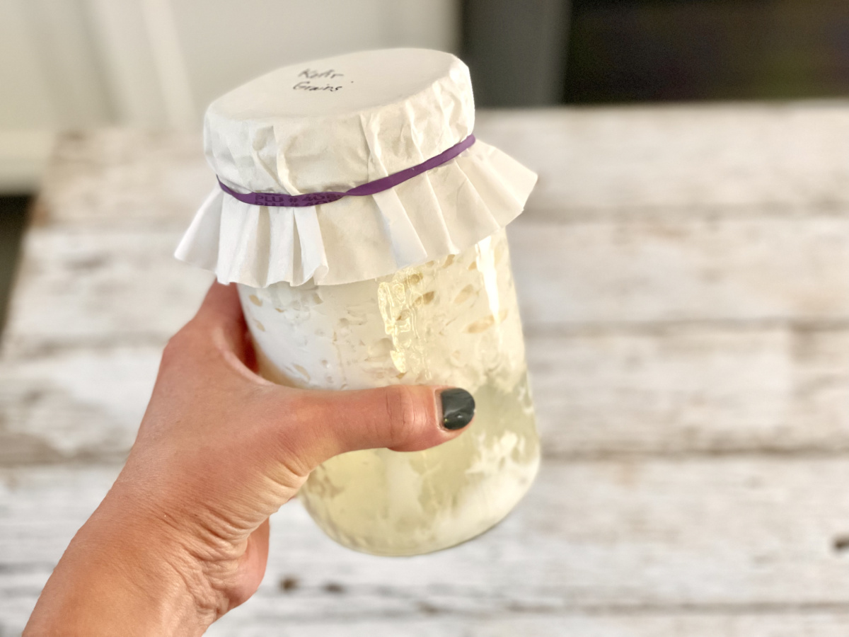 holding jar of fermented kefir