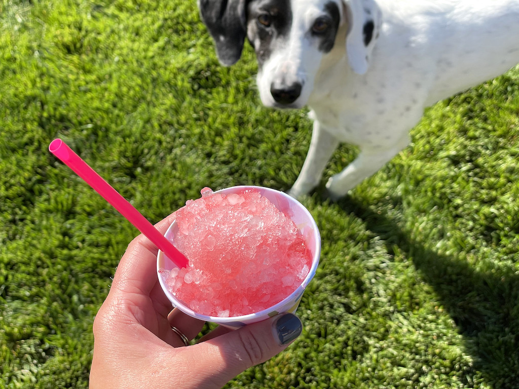 holding sugar free snow cone with dog in background 